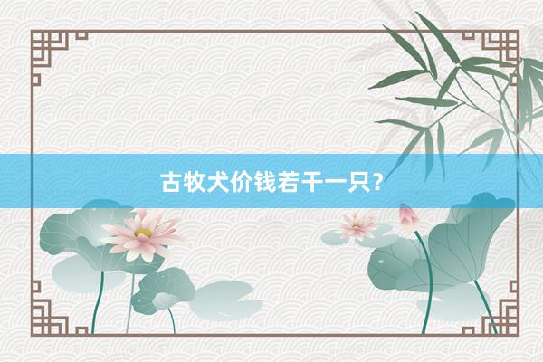 古牧犬价钱若干一只？