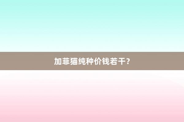 加菲猫纯种价钱若干？